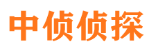 沿滩市婚外情调查